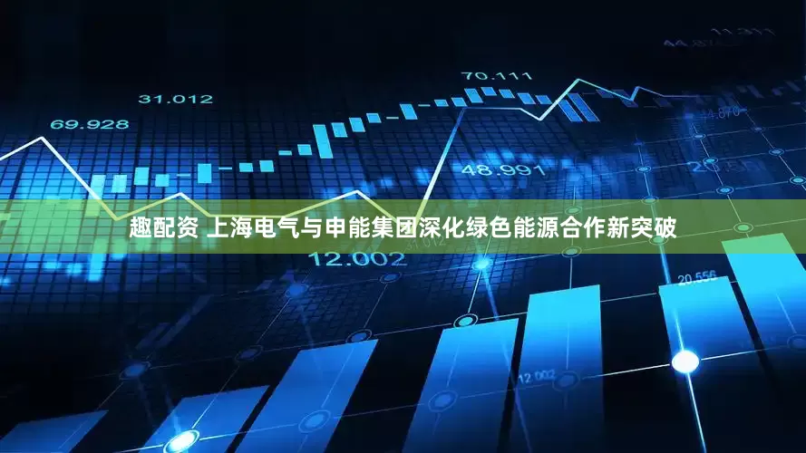 趣配资 上海电气与申能集团深化绿色能源合作新突破